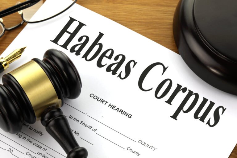 Why Federal Habeas Corpus Petitions Matter in Immigration Detention